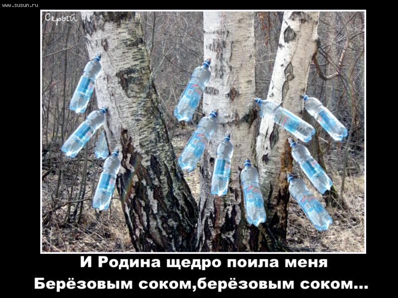 --� ������ ����� ����� ����... - ������ ����� (����������)